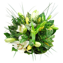 Graziöse Lilien faszinieren mit ihrem blendenden Weiß und lassen von Unschuld und Leidenschaft träumen. Elegant zusammengestellt mit Pittosporum, Pistazien- und Araliazweigenhin.