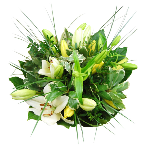 Graziöse Lilien faszinieren mit ihrem blendenden Weiß und lassen von Unschuld und Leidenschaft träumen. Elegant zusammengestellt mit Pittosporum, Pistazien- und Araliazweigenhin.