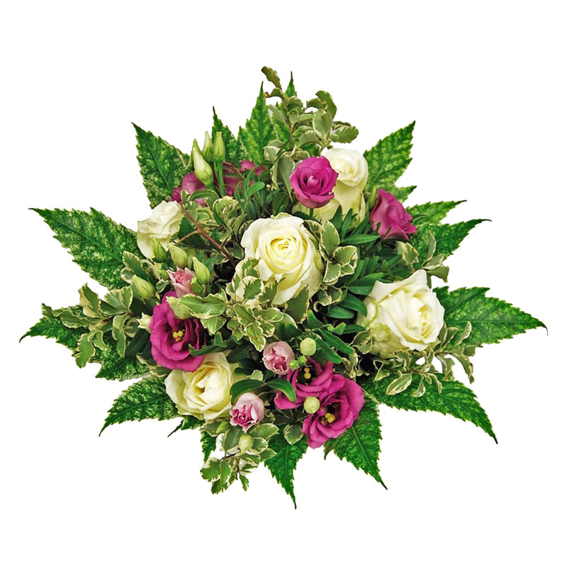 Blumenstrauß mit weißen Rosen und cyclamfarbenen Lisianthus ist eine Komposition aus weißen Rosen der Gattung „Queen of Africa“ mit den pinkfarbenen Lisianthus Blüten 