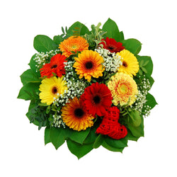 Blumenstrauß "Romy" aus frischen Germini in rot-gelb-orange Farben zum verschicken mit Blumenversand FioreFelice. Denken Sie an die letzten sommerlichen Sonnenstrahlen, Altweibersommer mit seinem ganz besonderen Charme. Unser Blumenstrauß aus frischen Germini in rot-gelb-orange Tönen sorgt für einen angemessenen herbstlichen Auftakt. Perfekt geeignet um die besten Freunde zu erfreuen oder sich einen Sonnenschein nach Hause zu holen.