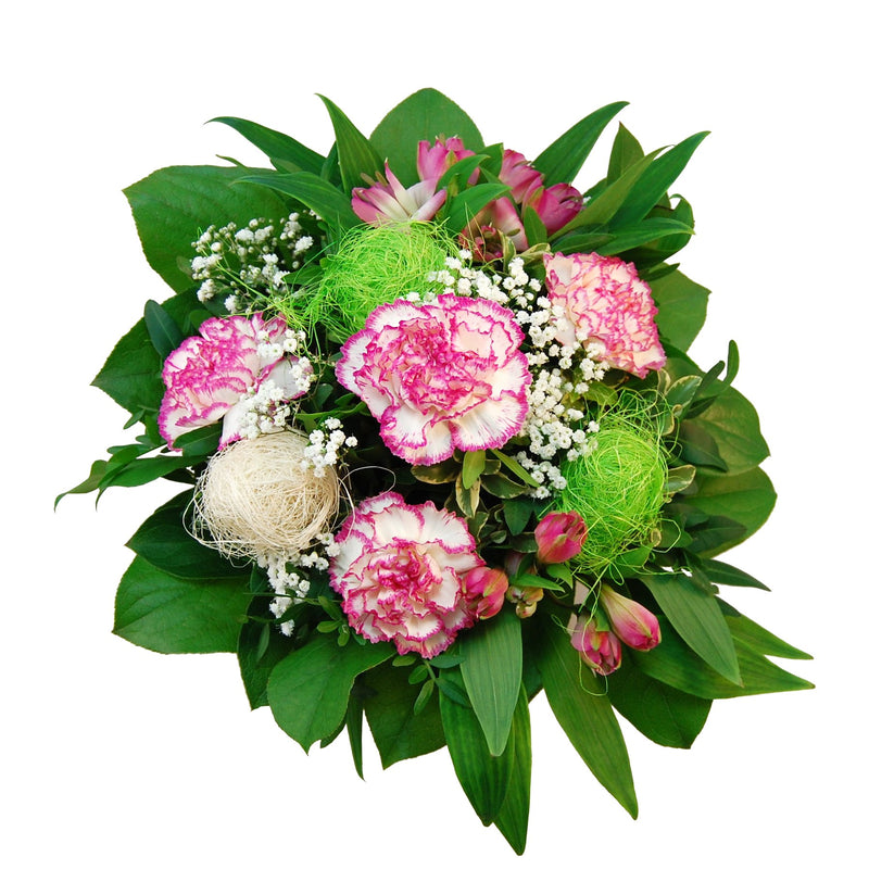 Blumenstrauß "Mia" aus frischen Schnittnelken mit Inkalilien in zarten Pastelltönen, Rosa, Weiß und Apfelgrün zum kaufen bei Blumenversand FioreFelice. Hübsch, frech und temperamentvoll – so ist unsere „Mia“. Ein Blumenstrauß aus frischen Schnittnelken mit Inkalilien in Farben: Rosa, Weiß und Apfelgrün. Sisalkugel sorgen für ein verspieltes Design. Genau richtig, um einem lieben Freund ein Lächeln zu schenken.