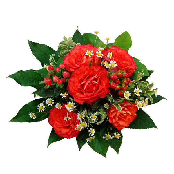 Blumenstrauß "Cornelia" aus high magic  Rosen in Feuerrot, Kamillen und Hypericum Beeren von Blumenversand FioreFelice. "Cornelia" ist ein perfekte Blumenstrauß für alle, die gern Vintage Style und klassischen Chic vereint sehen. Mit sommerlicher Frische erfreut dieser leuchtende Strauß, der mit Feuerrot und kleinen weiß-gelben Akzenten beeindruckt und die Herzen der Empfänger erstrahlen lässt.